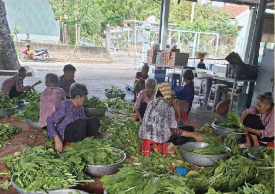 Hoạt động chăm sóc và nuôi dưỡng tại Trung tâm